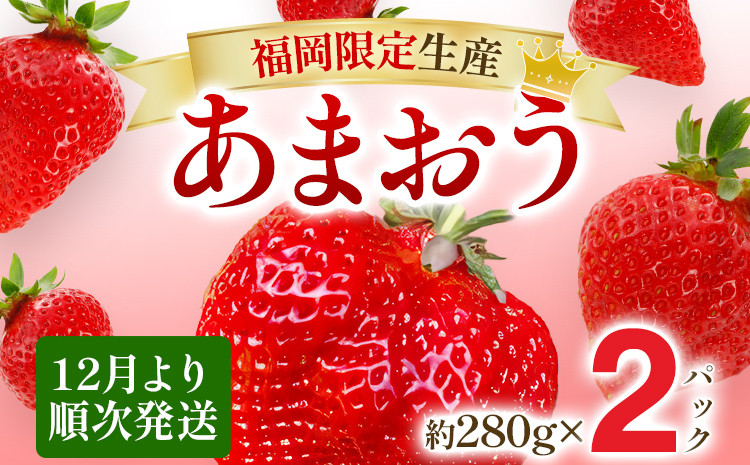 
            【12月より順次発送】あまおう グランデサイズ以上 約560g（約280g×2パック） 苺 イチゴ いちご フルーツ 果物 ふるさと納税くだもの ブランド くだもの 福岡県産
          