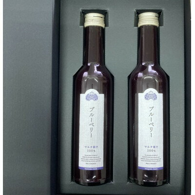【ふるさと納税】ブルーベリー原液 300ml×2本詰【配送不可地域：離島】【1505746】