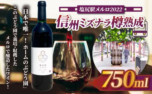 
            塩尻駅メルロ2022 信州ミズナラ樽熟成 | ワイン 赤ワイン 熟成 樽熟成 ぶどう ブドウ ナガノ 駅 チョイス限定 信州 長野県 塩尻市 ふるさと納税
          