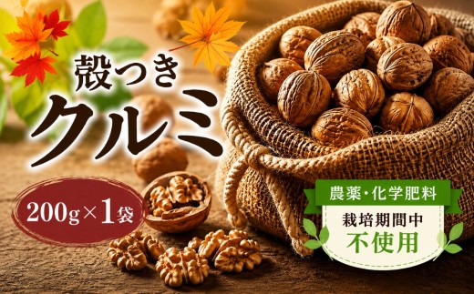 【2025年秋収穫】 殻つきクルミ 200g☓1袋 《農薬・化学肥料 栽培期間中不使用》 ｜ くるみ クルミ 胡桃 殻つき プレゼント ギフト くるみっくる 塩尻市 長野県