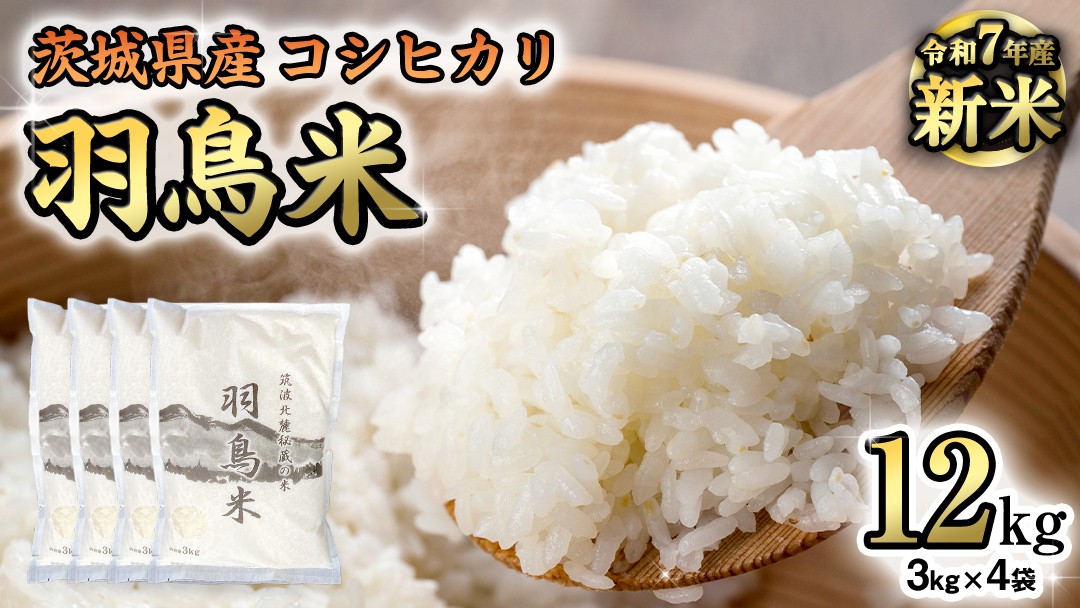 
            《 令和7年産 先行予約 》 コシヒカリ 「幻の米 羽鳥米」 12kg (3kg × 4袋) 筑波北麓秘蔵米 お米 ごはん 精米 コメ 白米 国産 茨城県 桜川市 限定 期間限定 数量限定 銘柄米 [AX002sa]
          
