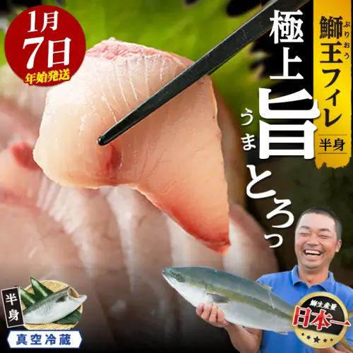 【期間限定】＼年始発送 先行予約／＜数量限定＞【2027年1月7日発送】『旅サラダ』で紹介ぶりの王様「 鰤王 」 フィレ 半身 (約1.4～1.6kg・フィレ1枚) 産地直送 新鮮 旨味が抜群の 長島町 特産品 ブランド ぶり 鰤 ブリ 切り身 真空 冷蔵 刺身 ぶりしゃぶ しゃぶしゃぶ 魚 魚介 人気 ランキング 年末年始発送 【JFA】jfa-7006-07R8