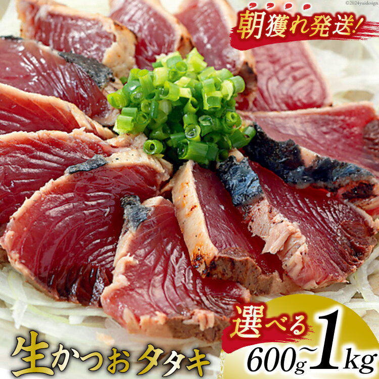 【ふるさと納税】 朝獲れ 産地直送 冷蔵便 生かつおタタキ【選べる内容量】600g / 1kg タレ付 真空パック [阿部長商店 宮城県 気仙沼市] 冷蔵 鮮魚 魚 かつお カツオ 鰹 刺身 冷蔵 期間限定 季節限定 カツオタタキ かつおタタキ 支援