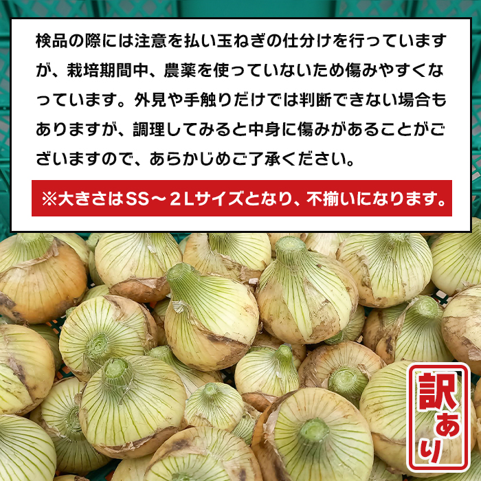 淡路島産 新玉ねぎ 10kg【栽培期間中、無農薬栽培】【訳あ
