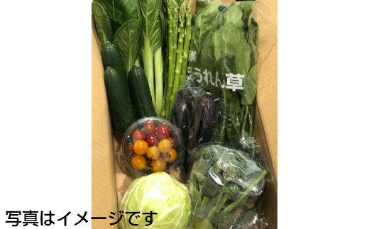 【定期便３ヶ月】イーハトーヴ野菜A お試しセット6品～ 【293】