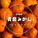 【ふるさと納税】青島みかん(約10kg)みかん 蜜柑 フルーツ 果物 くだもの 柑橘【112300500】【宮田園芸】