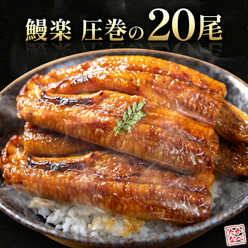 【ふるさと納税】国産 うなぎ 蒲焼 20尾（計3200g以上）人気 鰻 ウナギ おすすめ ギフト 贈答品 高級 グルメ 鰻楽 小分け 真空 パック 惣菜 送料無料