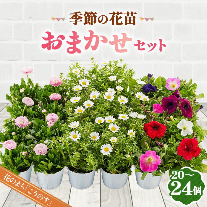 【ふるさと納税】季節の花苗おまかせセット 20〜24ポットをお届け 送料無料［No.043］