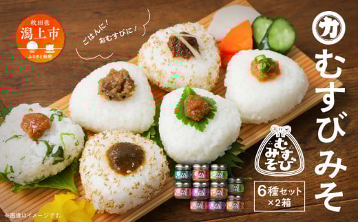 むすびみそ 6種 2箱 瓶詰め 詰め合わせ お取り寄せ 化粧箱 ギフト セット みそ 味噌 おかず おかず味噌 ご飯のお供 ごはんのお供 おむすび おにぎり お弁当 にく味噌 うめ味噌 みょうが しそ味噌 ばっけ味噌 鉄火味噌 食べ比べ 送料無料 【三浦醤油店】