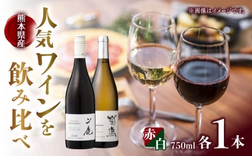 菊鹿シャルドネ&山鹿マスカットベーリーA2024 ワイン2本セット 化粧箱付【菊鹿ワイナリー】 [ZFB006]