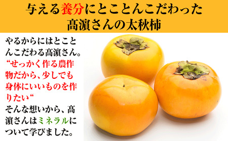 熊本県大津町産 タカハマ観光農園の太秋柿 約2.5kg《10月中旬-11月下旬頃出荷》