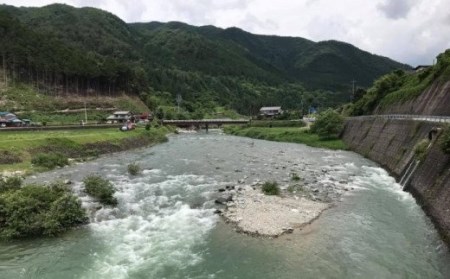 【令和8年】益田川鮎友釣り年券 1枚【35-1】