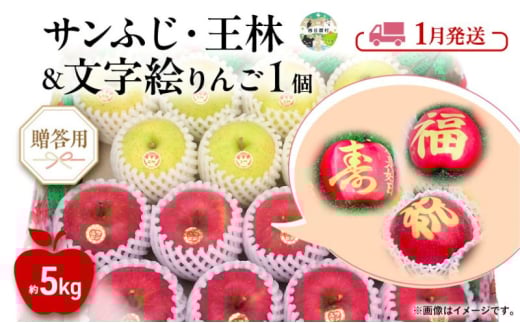 りんご 【 1月発送 】 贈答用 サンふじ・王林 ＋ 文字絵入りりんご1個 約 5kg