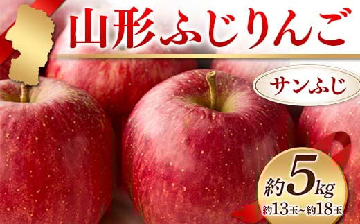 《2025年度発送》山形ふじりんご 約5kg サンふじ 約13玉～約18玉  りんご リンゴ 林檎 デザート フルーツ 果物 くだもの 果実 食品 山形県 FSY-2408