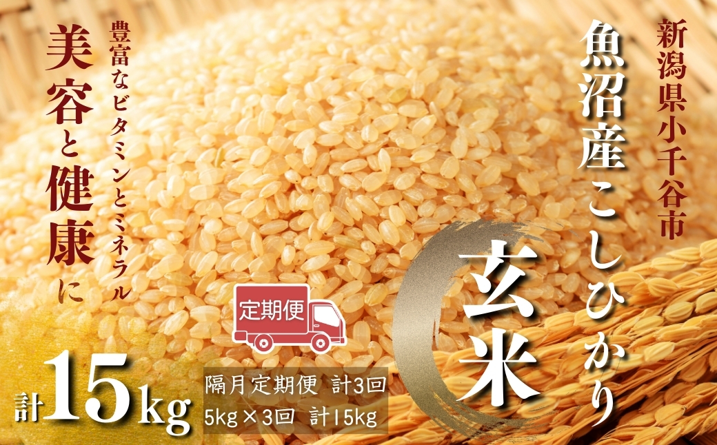【玄米 選別品】令和7年産 魚沼産コシヒカリ 玄米 定期便5kg×3回 （隔月お届け）米太【0020-KT08DB00-02】