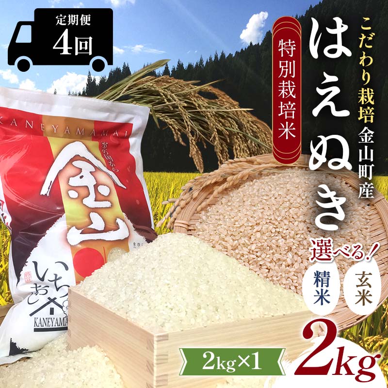 【ふるさと納税】【令和7年産】定期4回 金山町産 特別栽培米 はえぬき 精米 玄米 2kg×4回 合計8kg 選べる精米方法 米 お米 ご飯 ブランド米 定期便 低温貯蔵 低温精米 F4B-0839var