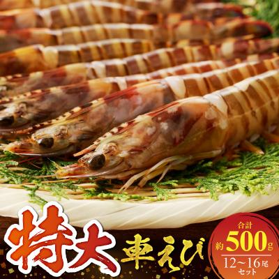 ふるさと納税 天草市 特大 車エビ 2パック セット_S059-020A