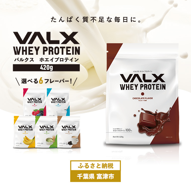DA-9c VALX ホエイプロテイン 420g【チョコレート風味】