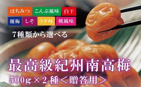 【贈答用】紀州南高梅 食べ比べセット 500g×2　（はちみつ・しそ風味）【inm900-1B】