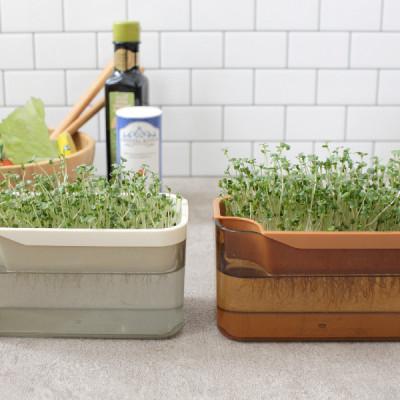 ふるさと納税 海南市 ベジマジそだてる　スプラウト栽培容器　　ブラウン　種付き(ブロッコリースプラウト)　家庭菜園 |  | 03