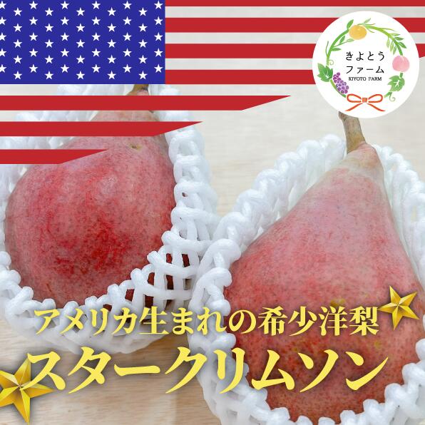 【ふるさと納税】【きよとうファーム】希少品種の洋梨!スタークリムソンペア ご家庭用 5-8玉(岡山県産)【2025年8月以降より順次発送予定】【配送不可地域：離島】【KF-C018-02】/　早生洋梨　洋梨　梨　スタークリムソンペア　果物　くだもの　フルーツ　ご家庭用