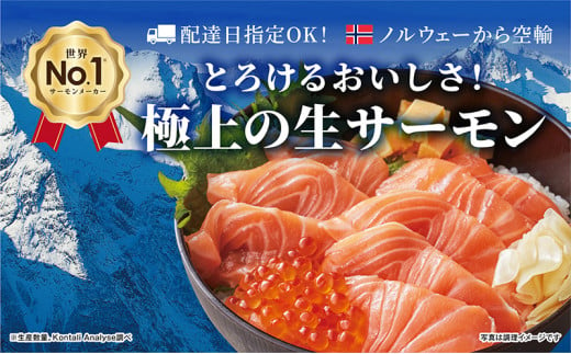 [№5904-0483]サーモン　モウイピュア・サーモン 刺身 刺身サーモン 冷蔵 新鮮 冷凍なし 生サーモン 鮭 海鮮