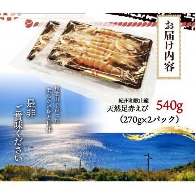 ふるさと納税 九度山町 紀州和歌山産天然足赤えび540g(270g×2パック)　化粧箱入 |  | 03
