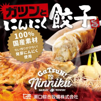 ふるさと納税 海津市 岐阜県海津市産　栄養価満載!臭い残り少ない!発芽にんにく使用　「ガツンとにんにく餃子」3パック