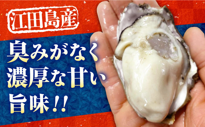 訳あり 生牡蠣【2027年1月中旬発送】訳あり 生牡蠣 むき身1kg 広島県江田島市／株式会社かきうち [XBK016]｜訳あり 訳アリ 生牡蠣 生かき 生カキ むき身 カキ かき 牡蠣 オイスター 