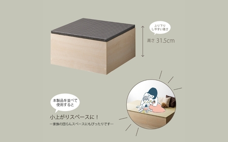 朝日木材 ゼンキューブ タタミボックス  ダークブラウン×グリーン ≪ZCM-3060BX-DB-GR≫ 家具 シンプル タタミ こあがり 畳 小上がり 赤ちゃん 子育て 赤ちゃんスペース 和室 ベン