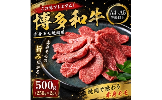 この味プレミアム!＜A4～A5＞博多和牛赤身モモ焼肉用 500g(250g×2p)【1767642】