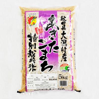 ふるさと納税 大潟村 【毎月定期便】あきたこまち特別栽培玄米5kg全3回