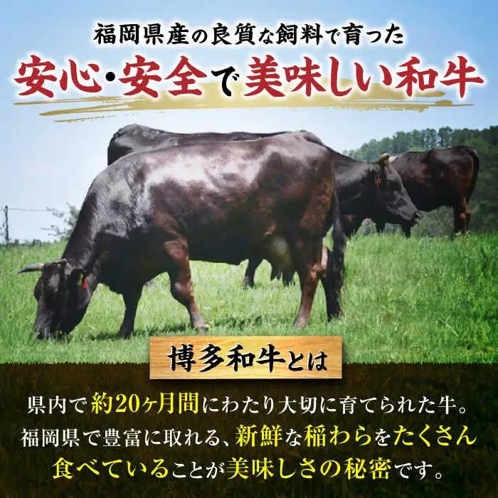 【牛一頭丸ごとオーダー！】 博多和牛 一頭食べ尽くしセット VBB082 1000万以上