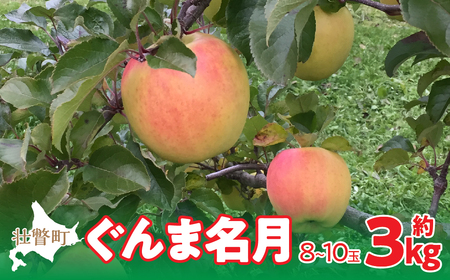 ＜2024年11月中旬よりお届け＞ 北海道壮瞥町 りんご 「ぐんま名月」8～10玉約3kg 【 ふるさと納税 人気 おすすめ ランキング りんご リンゴ 林檎 ぐんま名月 甘い 蜜 北海道 壮瞥町 送料無料 】 SBTF004