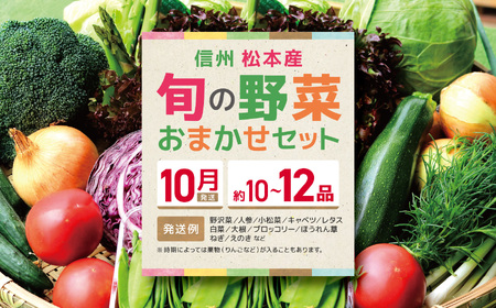 【先行受付：2026年発送】【10月発送】信州松本産・旬の野菜 おまかせセット（約10～12品）