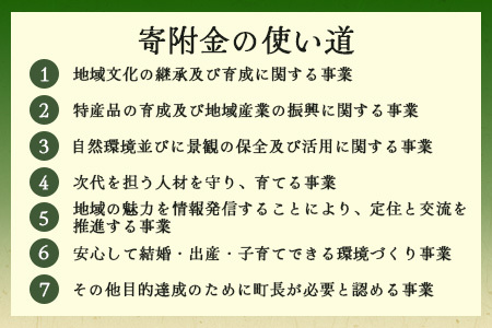 【返礼品なしの寄附】徳島県那賀町 1口：50,000円 ［徳島県 徳島 那賀町 那賀 寄附 おうえん 応援 しえん 支援 応援したい おうえん寄付金 応援寄付金  寄付のみ 返礼品なし 返礼品なしの寄