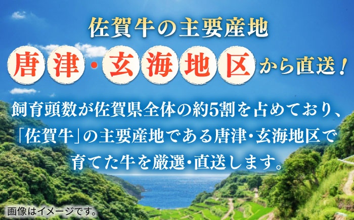 佐賀牛切り落とし 計750g（250g×3パック） / 肉 牛肉 和牛 国産 しゃぶしゃぶ すき焼き / 佐賀県 / 株式会社中山牧場 [41AOCW018]