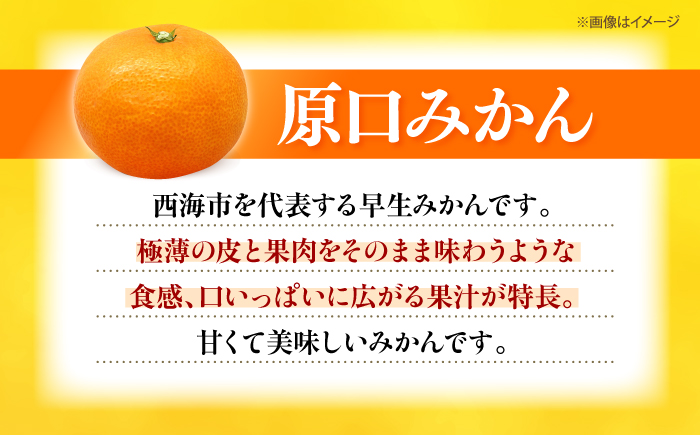 【11月中旬より順次発送】原口みかん 約5kg＜道の駅さいかい みかんドーム＞ [CAI039]