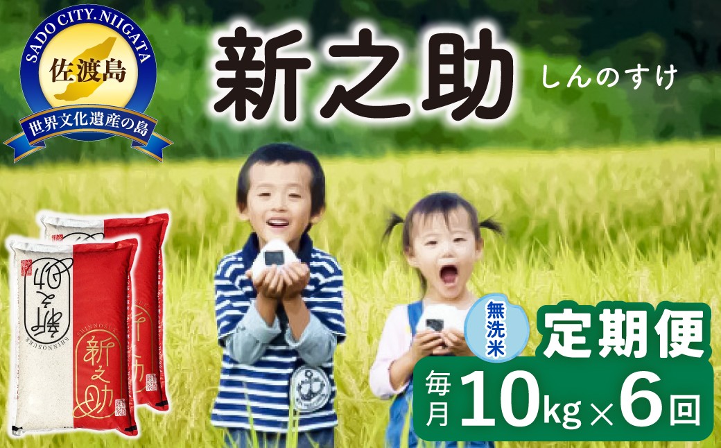 
                  【6か月定期便 新之助】佐渡島産 新之助 無洗米 合計60kg（10kg（5kg×2袋）×全6回）令和8年産 新米 単一原料米 | 新潟県産新之助 新潟産新之助 佐渡産新之助 しんのすけ 新之助 お米 米 無洗米 むせんまい 精米 ブランド米 おこめ コメ 10キロ にいがた さど 新潟県 佐渡市
                
