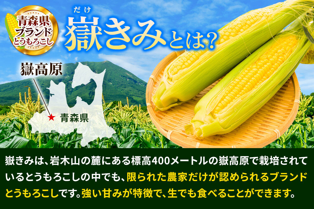 【26年7月～発送】とうもろこし 朝採り 嶽きみ（だけきみ） 10本 L～2Lサイズ 冷蔵 青森県 弘前市 [とうもろこし 朝採り 嶽きみ だけきみ 冷蔵 高糖度]
