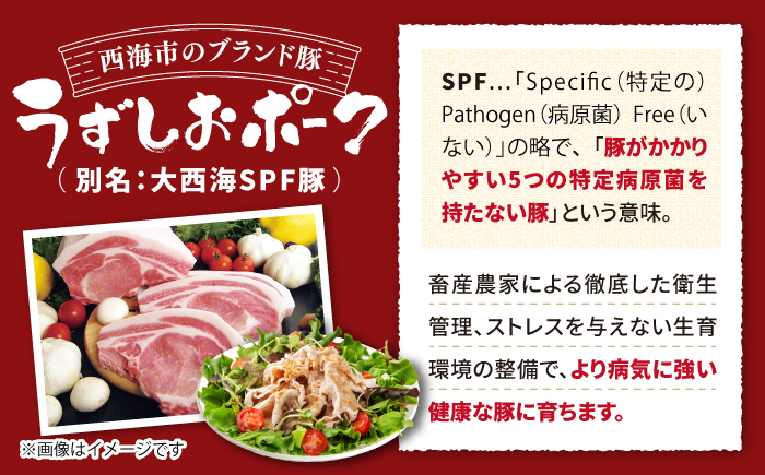 【12回定期便】長崎うずしおポーク こま切れ 約1.5kg（500g×3パック） 訳あり [CAG018]＜スーパーウエスト＞ 長崎県産 西海市産 豚肉 豚 ぶた こま切れ 小分け