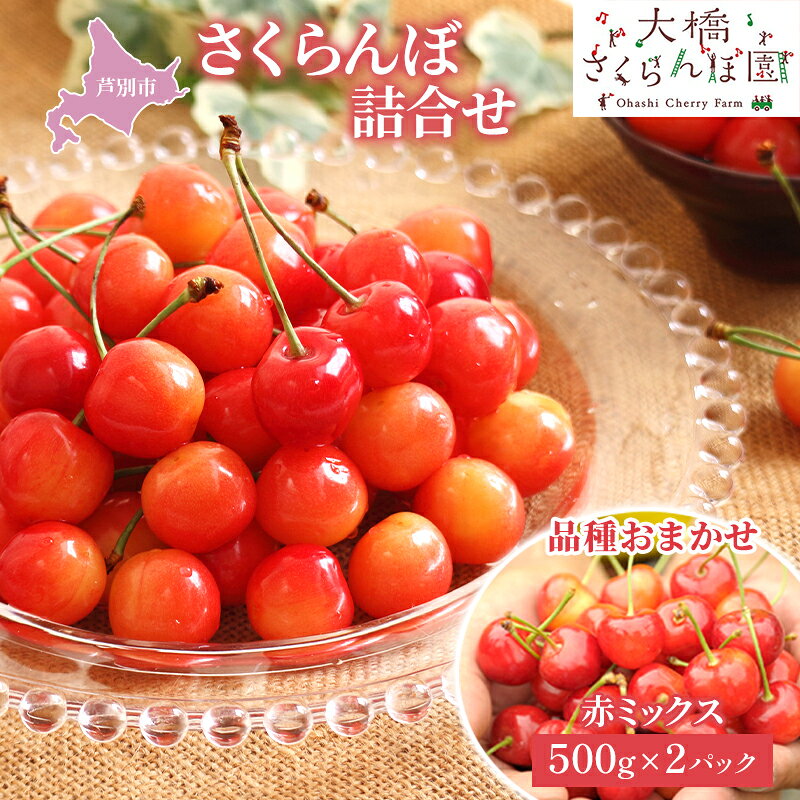 【ふるさと納税】さくらんぼ 500g ×2 パック 赤ミックス 大橋さくらんぼ園 サクランボ チェリー 果物 果物類 フルーツ デザート 完熟 新鮮 美味しい 人気 北海道 芦別市　お届け：2025年7月上旬～下旬頃