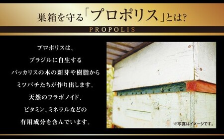 【6回定期便】 ローヤルゼリー ＆ プロポリス入り マヌカ蜜 500g （合計3kg） ／ 杉養蜂園 蜂蜜 はちみつ ハチミツ アミノ酸 ビタミン デセン酸 フラボノイド ビタミン ミネラル 定期便 