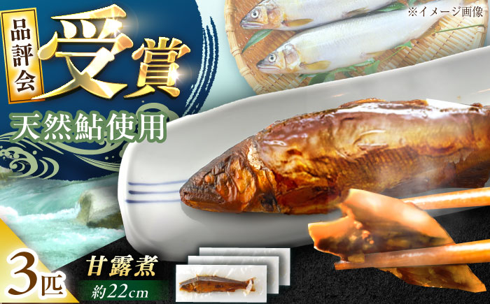 
            子持ち天然あゆの甘露煮 22〜25センチ 3匹セット / あゆ 天然 鮎 甘露煮 / 恵那市 / 恵那物産館 [AUFS004]
          