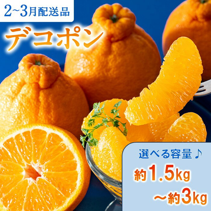 【ふるさと納税】【昨年も大人気】デコポン（約1.5kg～約3kg程度）／2027年2月～3月配送（選べる容量） 不知火 柑橘 フルーツ