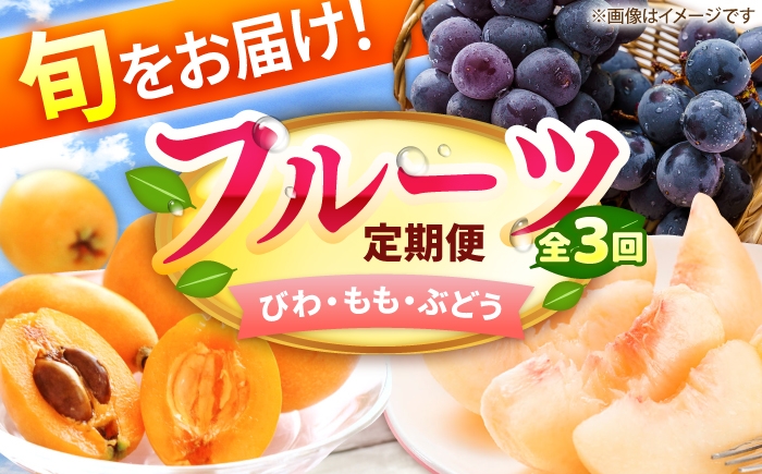 
                  【3回定期便】フルーツ定期便（びわ/桃/ぶどう） 広川町 / JAふくおか八女農産物直売所どろや [AFAB125]
                