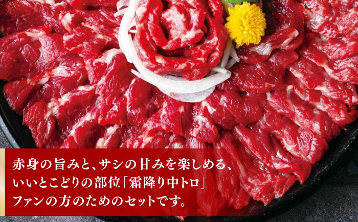 霜降り中トロ馬刺し 計500g 熊本 馬刺し 専用醤油付き 霜降り 中トロ サシ ばさし バサシ 馬刺 山鹿市 おつまみ 小分け