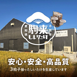 しいたけ・椎茸『駒来ファームの 極上・肉厚 生しいたけ』 極上しいたけ 肉厚 生しいたけ 生シイタケ 生椎茸 安心 安全 国産 採れたて 新鮮 きのこ 野菜 [131L01]