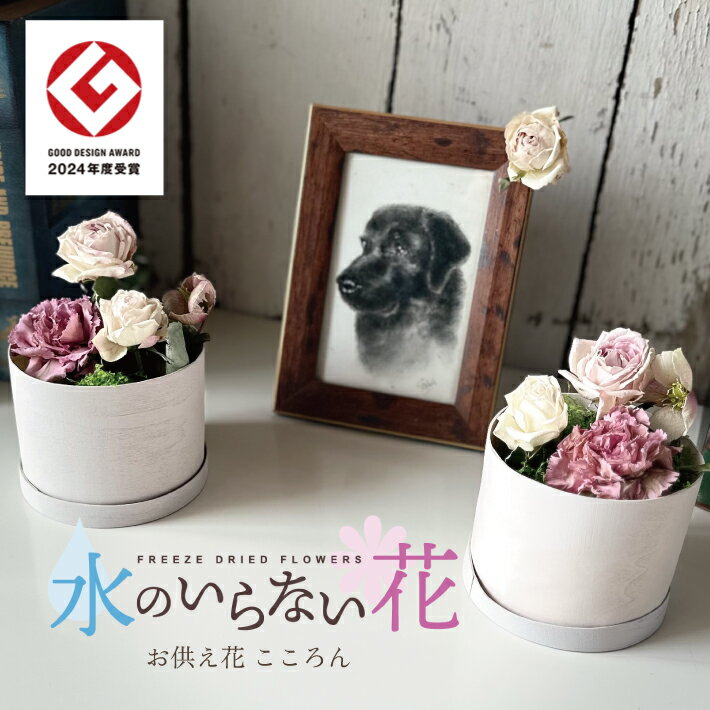 【ふるさと納税】水のいらない花 ゼロフラワー 「お供え花 こころん」 1対 東北 山形県 酒田市 庄内 LotusGarden フリーズドライ専門店 Next Level FLOWERS Japan フリーズドライフラワー