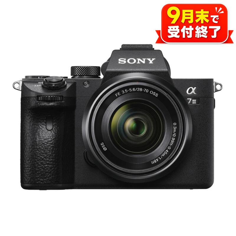 【ふるさと納税】 【ソニー】デジタル 一眼カメラ α（アルファ）『α7 III』＜9月末まで＞ ／ カメラ 一眼 一眼レフ デジイチ 写真 AF AE 高速連写 高解像 4K 動画 SONY 送料無料 神奈川県